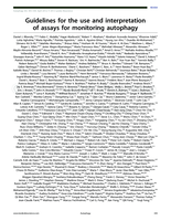 Guidelines for the use and interpretation of assays for monitoring autophagy