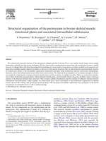 Structural organization of the perimysium in bovine skeletal muscle: Junctional plates and associated intracellular subdomains